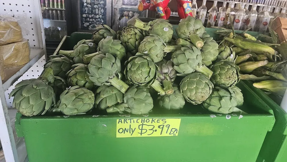 Fresh Artichoke